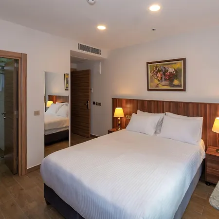 酒店 La Wisteria Boutique 伊斯坦布尔