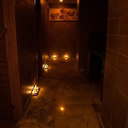 酒店 La Wisteria Boutique 4*