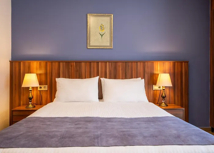 Ξενοδοχείο La Wisteria Boutique 4*