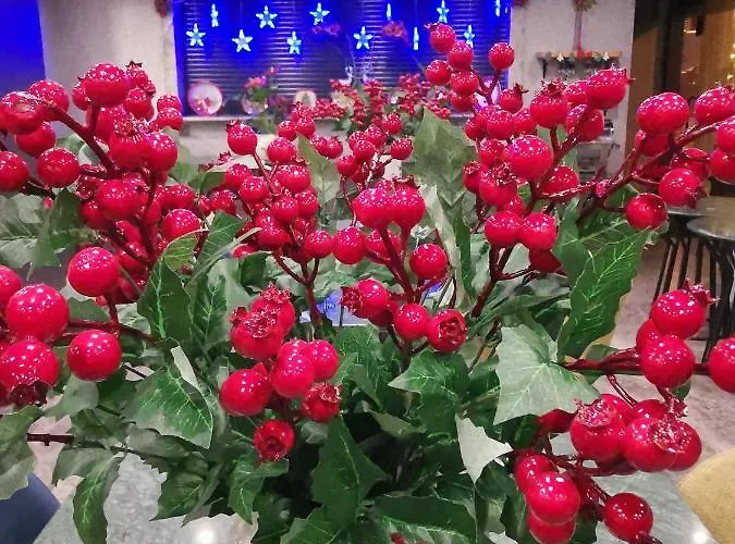 Ξενοδοχείο La Wisteria Boutique 4*